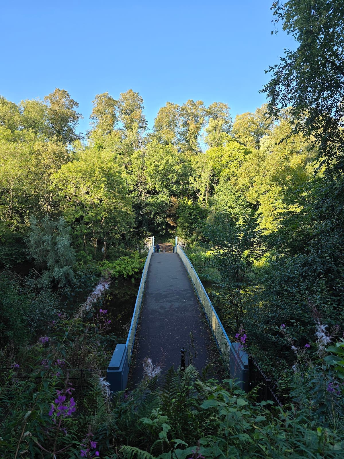 Kelvin Walkway - Image 3
