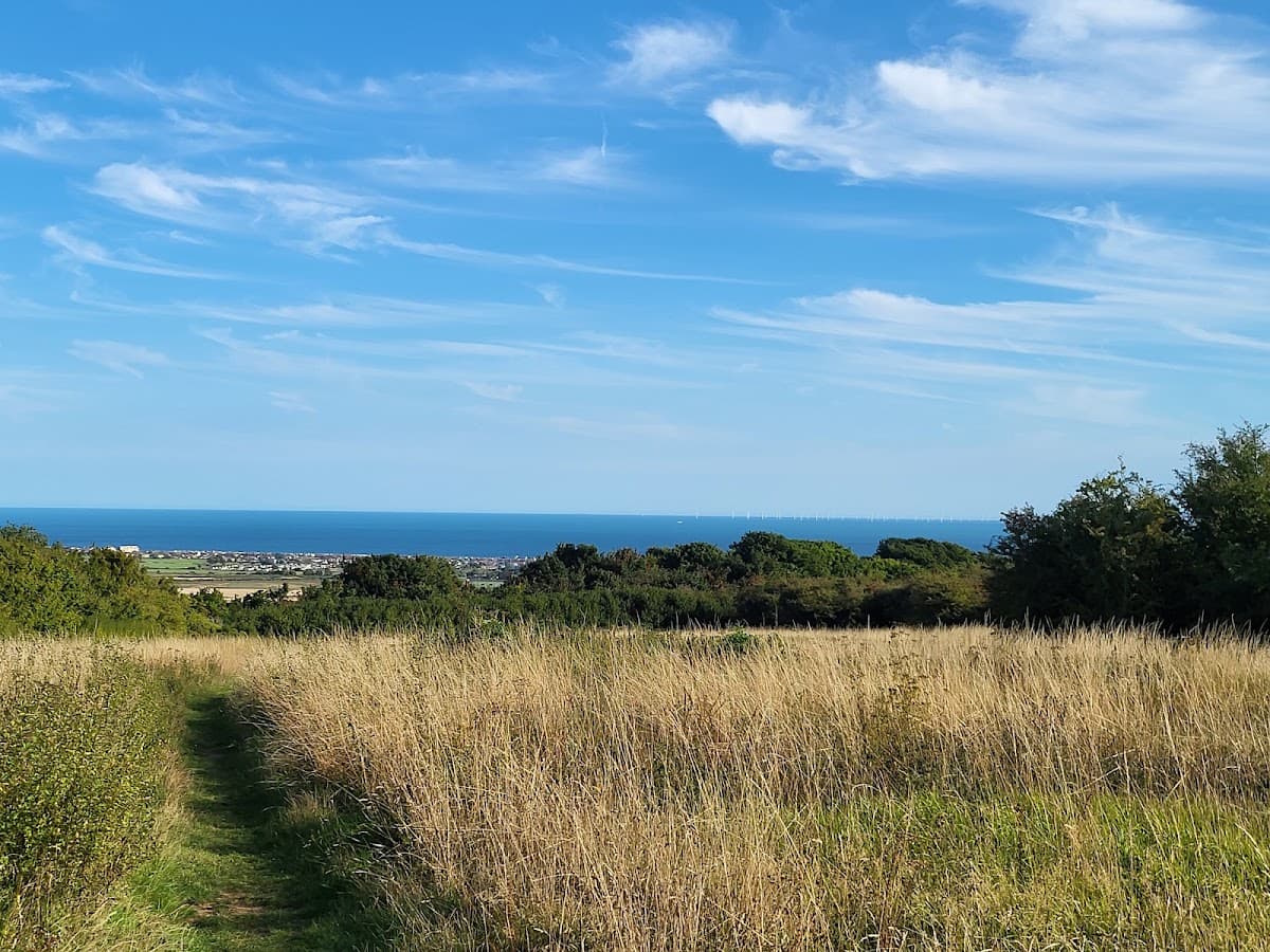 Lancing Ring - Image 1