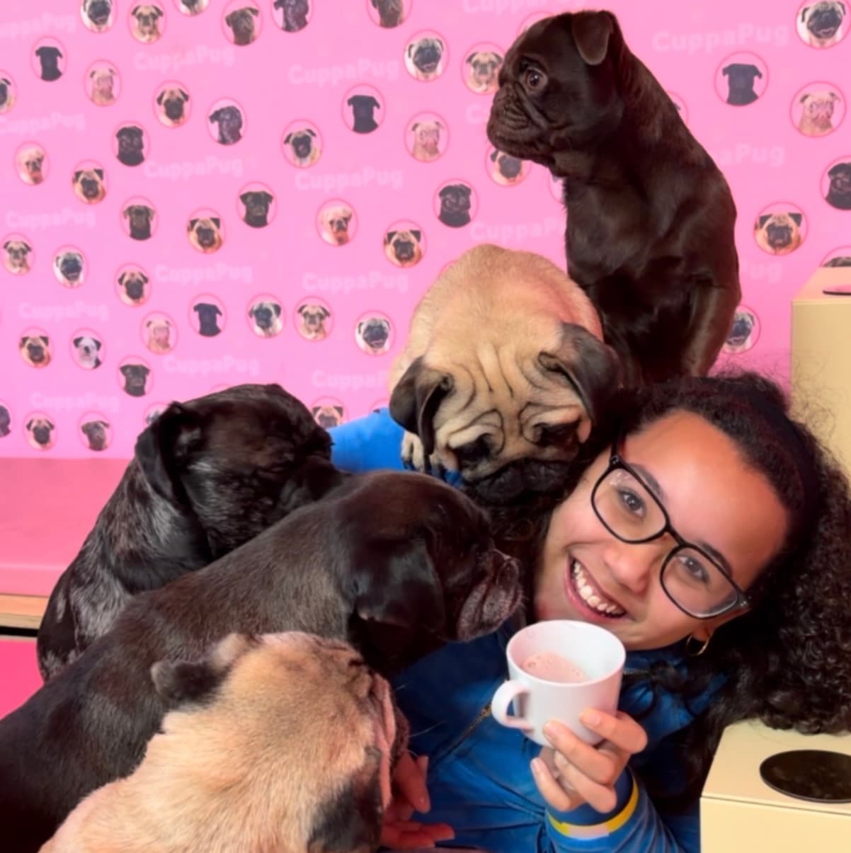 CuppaPug - Image 2