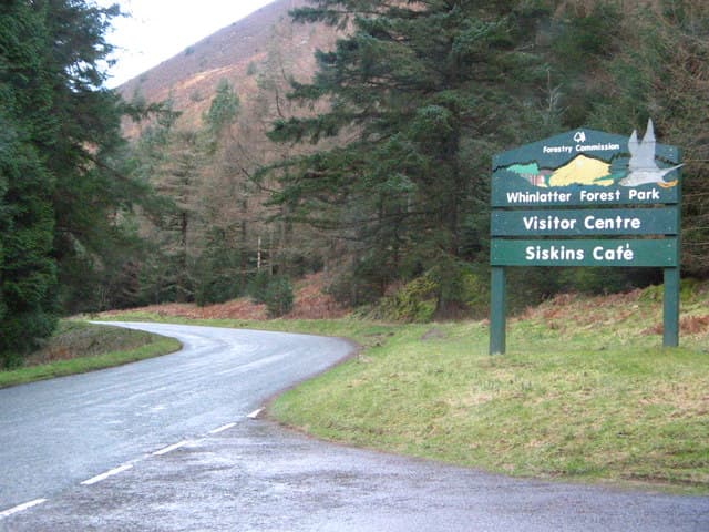 Go Ape Whinlatter - Image 4