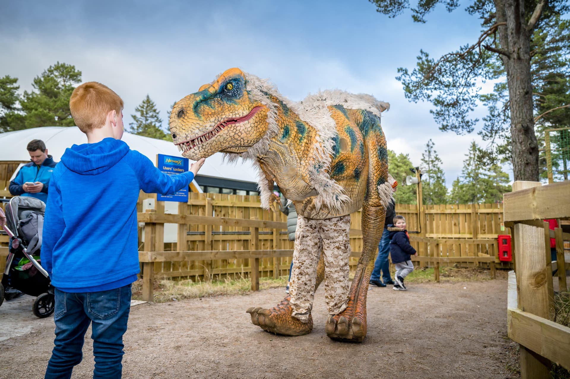 Landmark Forest Adventure Park - Image 1
