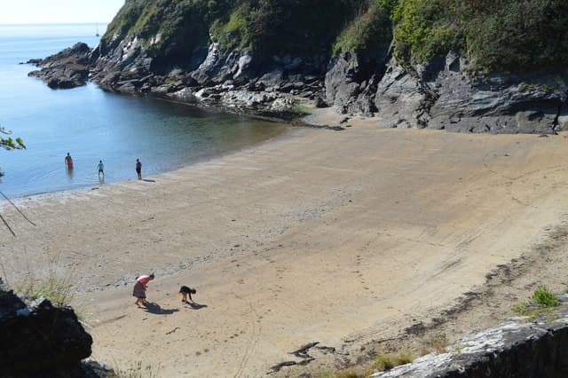 Readymoney Cove - Main view