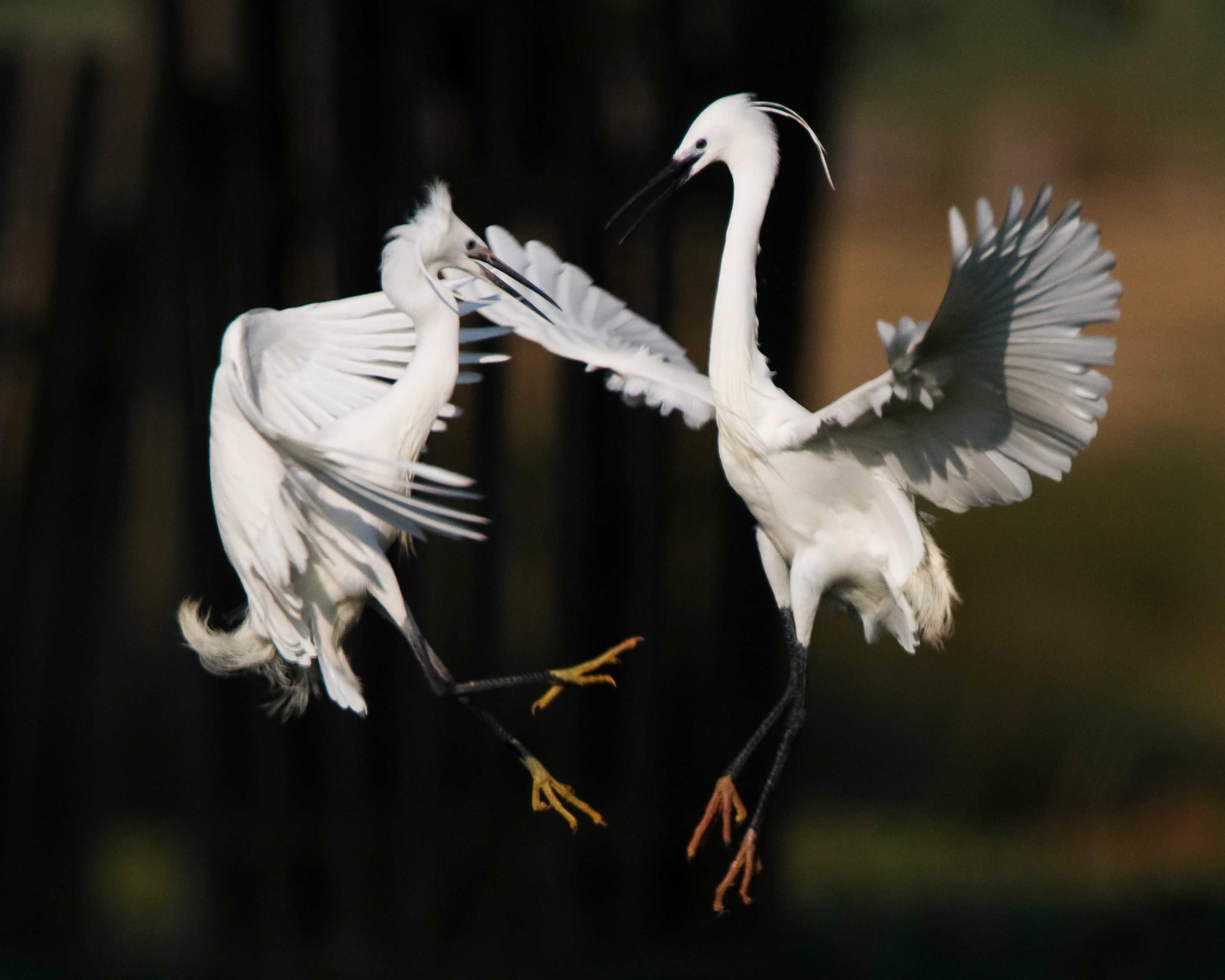 Warleigh Point Nature Reserve - Image 1