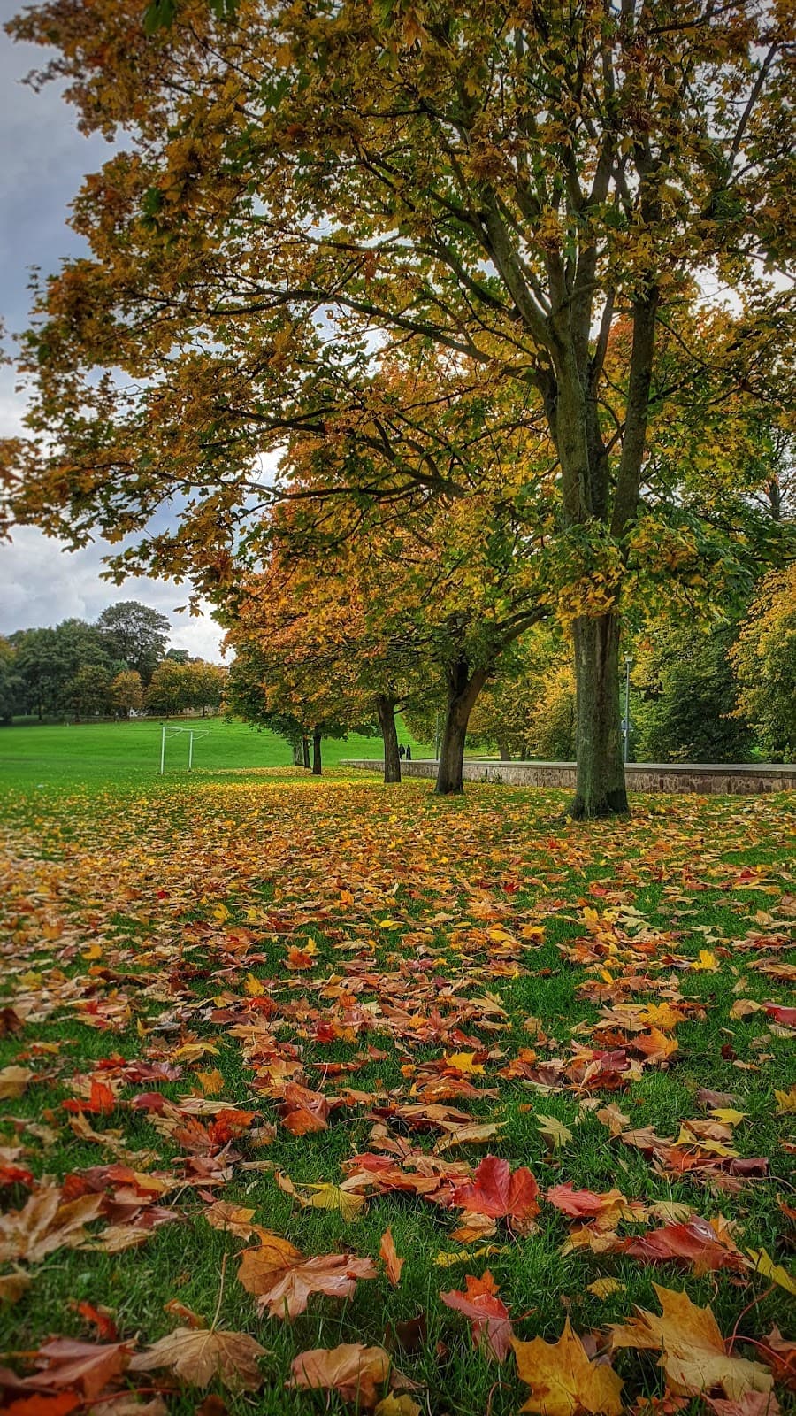 Inch Park Play Area - Image 2