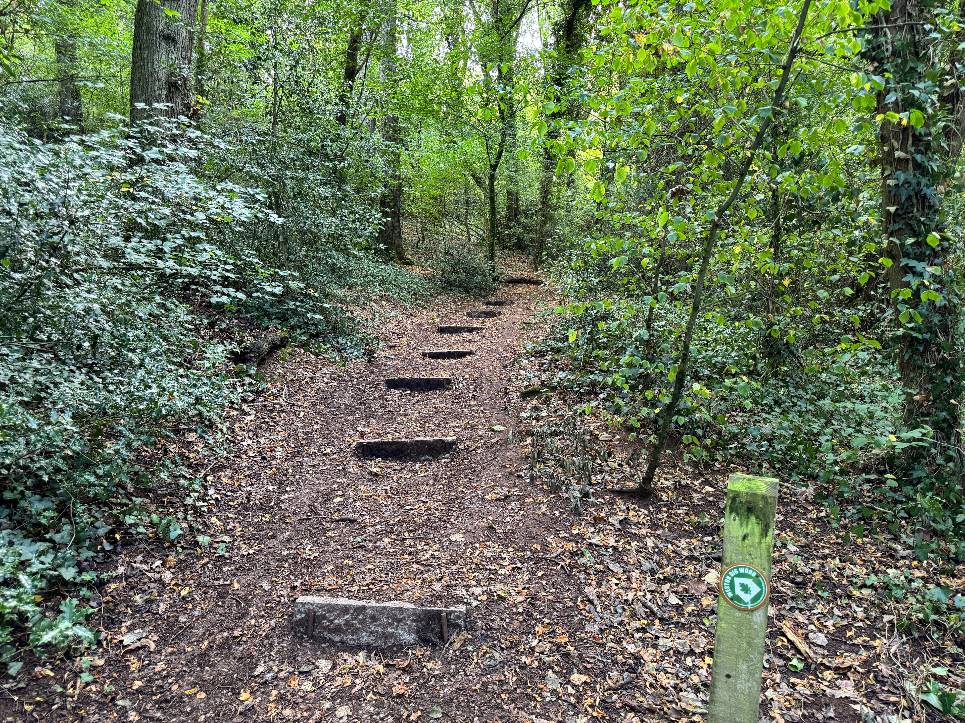 Prior's Wood - Image 1