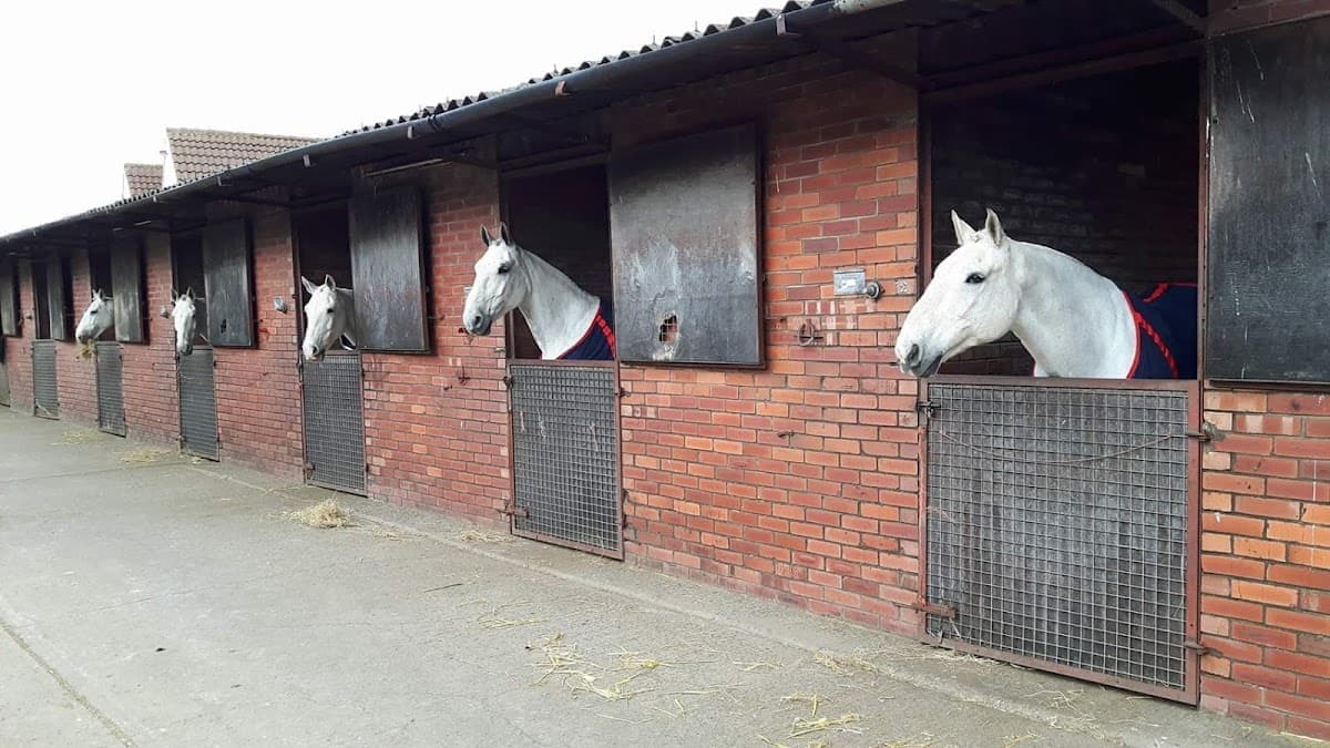 Tower Farm Riding Stables