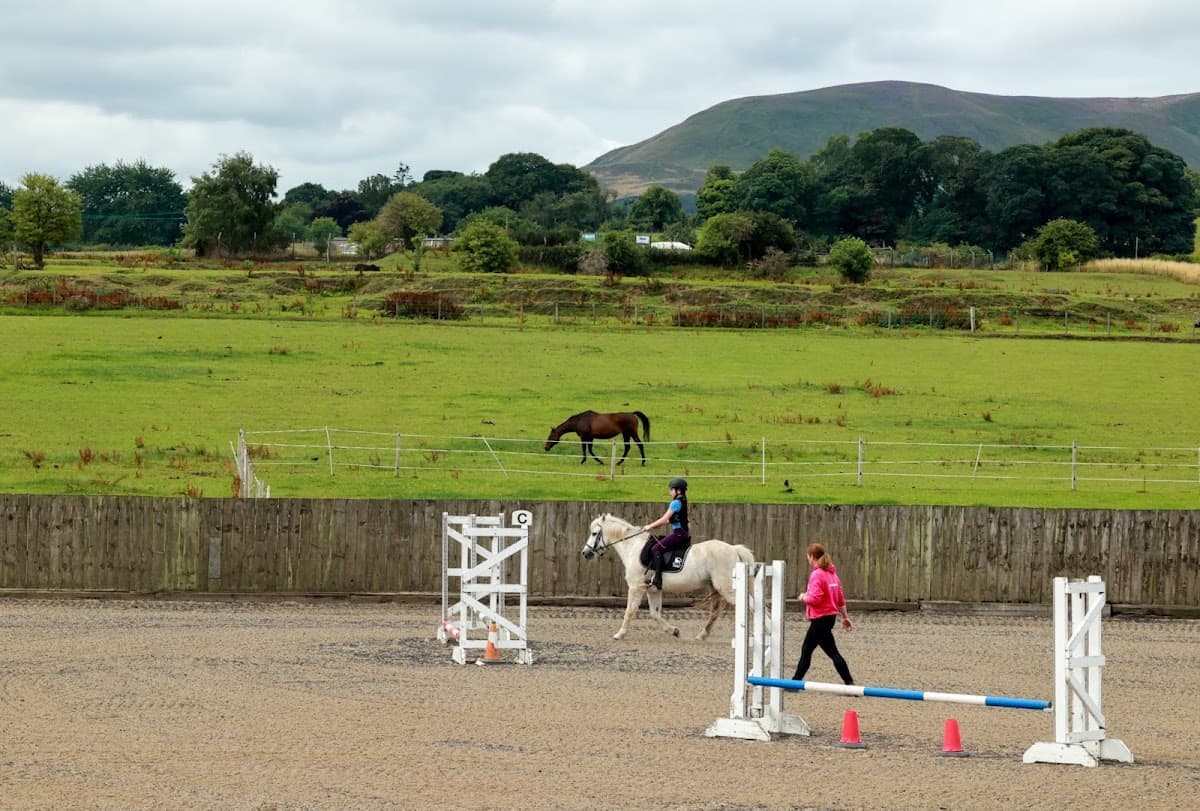 Tower Farm Riding Stables - Image 4
