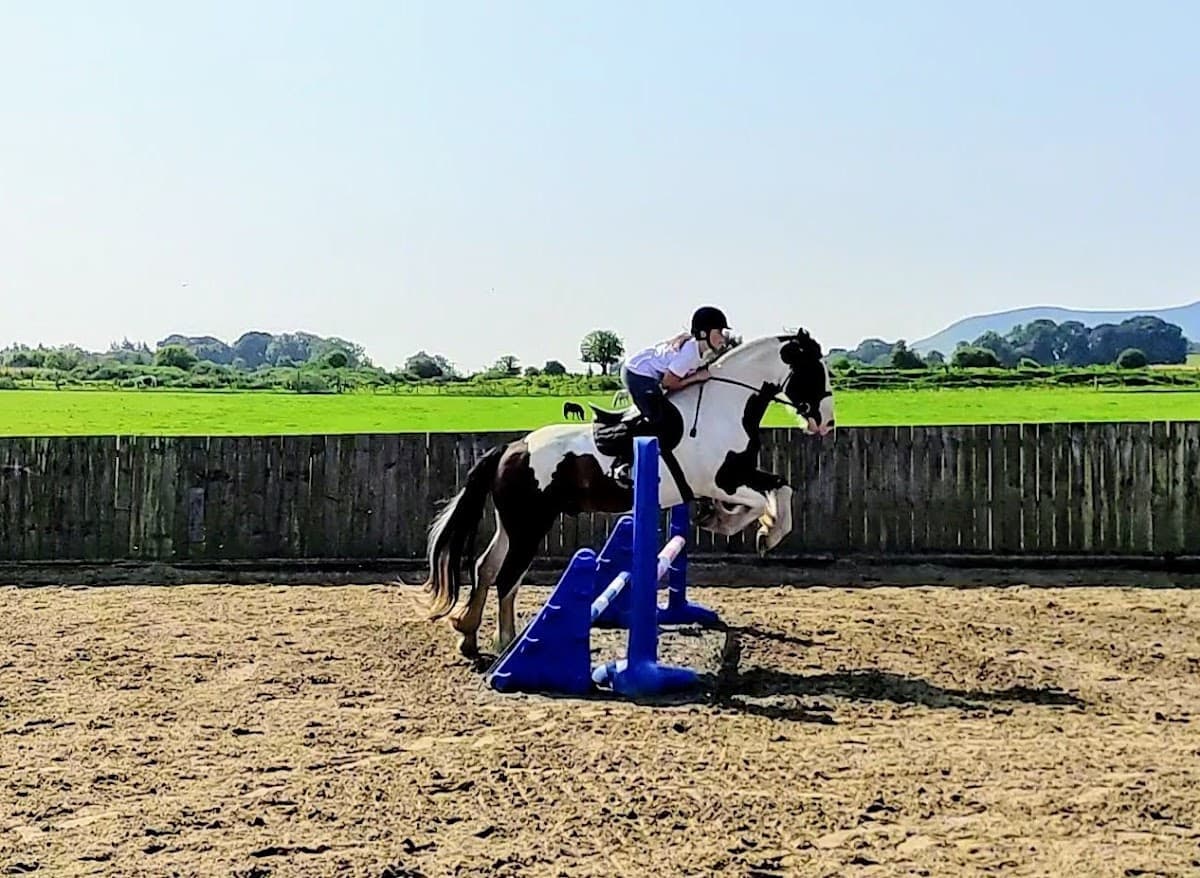 Tower Farm Riding Stables - Image 5