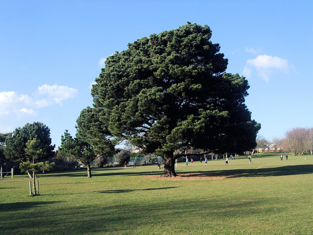 Buckingham Park & Playground - Image 1