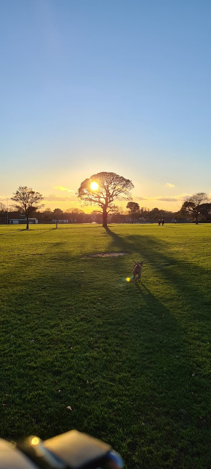 Buckingham Park & Playground - Image 2
