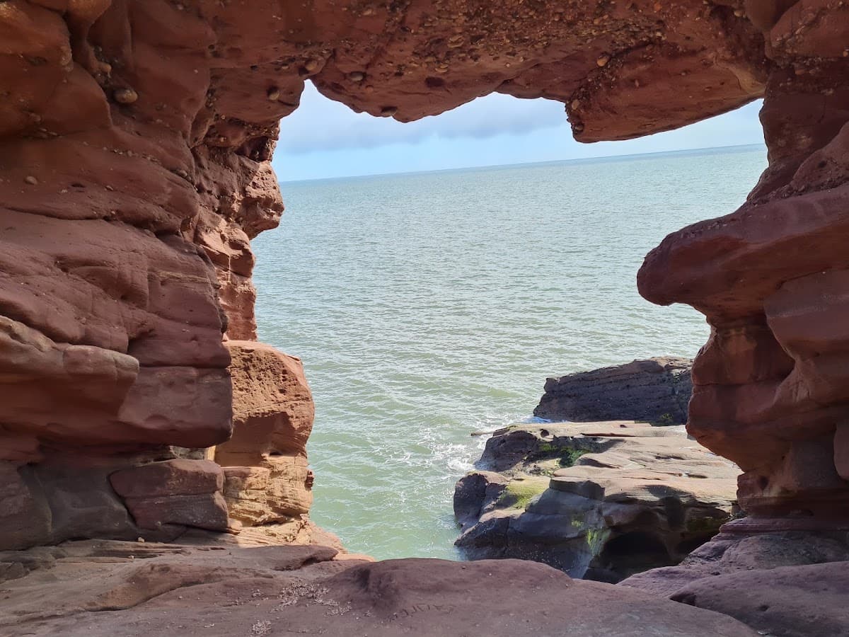 Arbroath Cliffs - Image 2