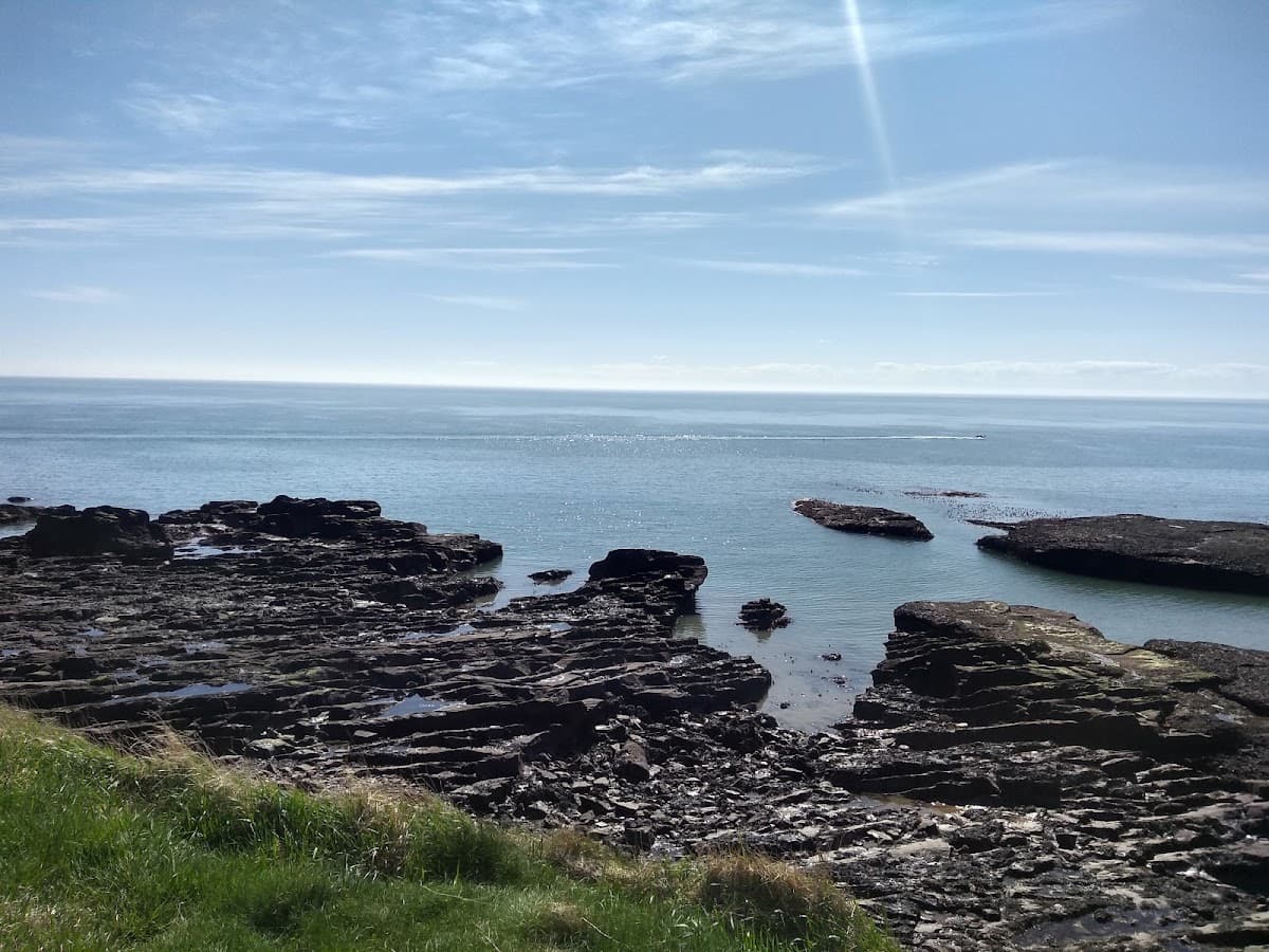 Arbroath Cliffs - Image 3