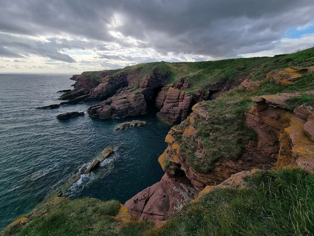 Arbroath Cliffs - Image 4