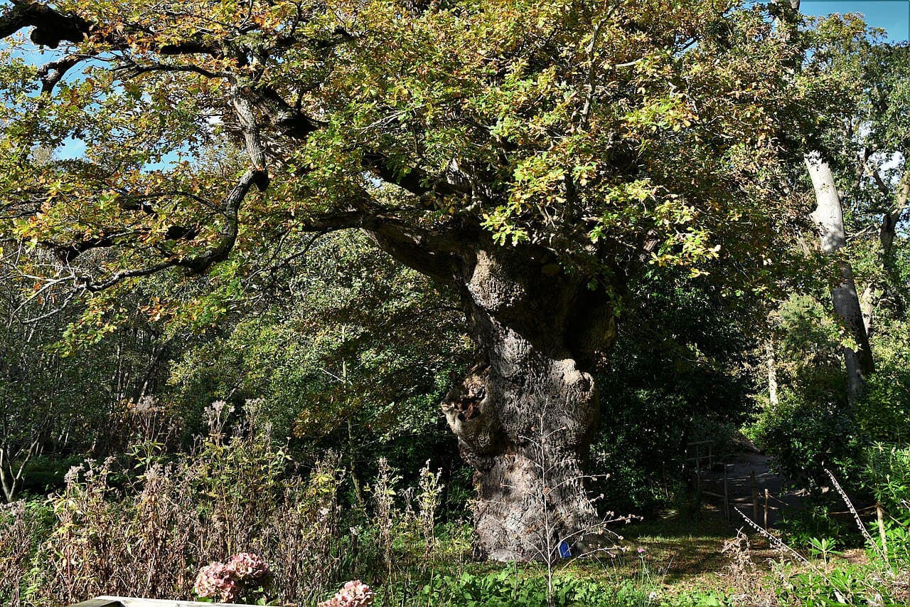 Fairhaven Woodland & Water Garden - Main view