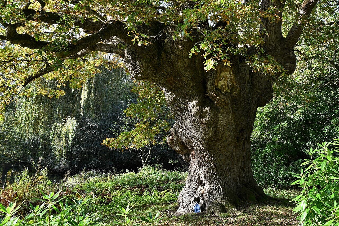 Fairhaven Woodland & Water Garden - Image 4