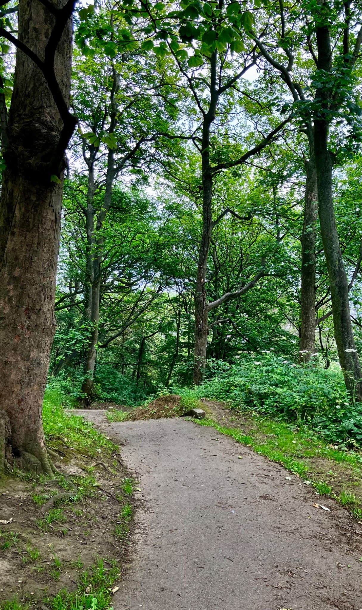 Falsgrave Park - Image 1