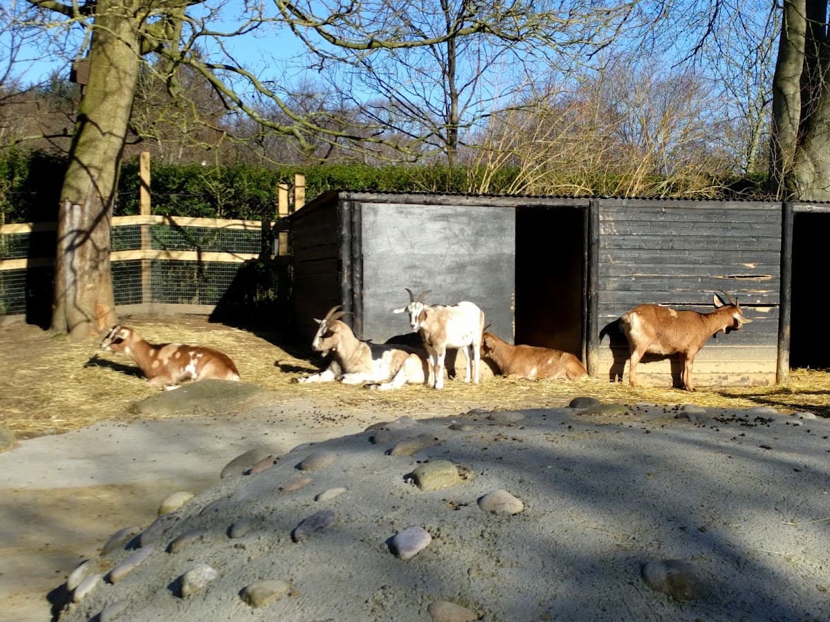 Hazlehead Park Pets Corner - Image 5