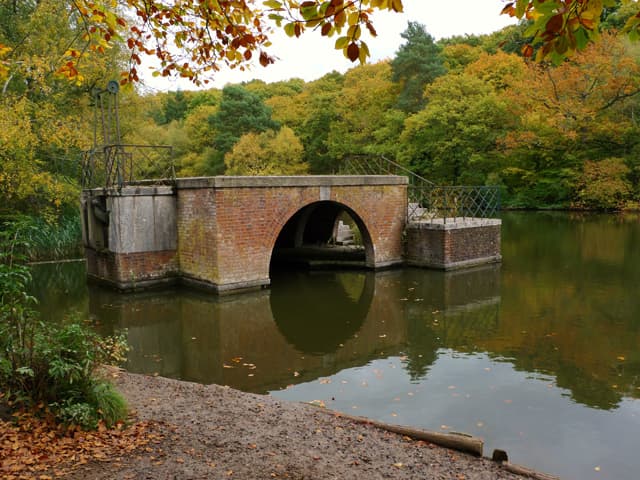 Rushmere Country Park - Main view