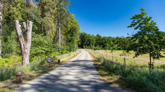 Rushmere Country Park - Image 2