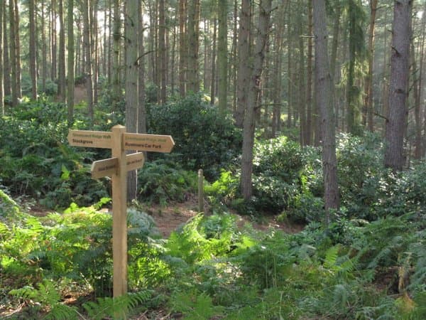 Rushmere Country Park - Image 3