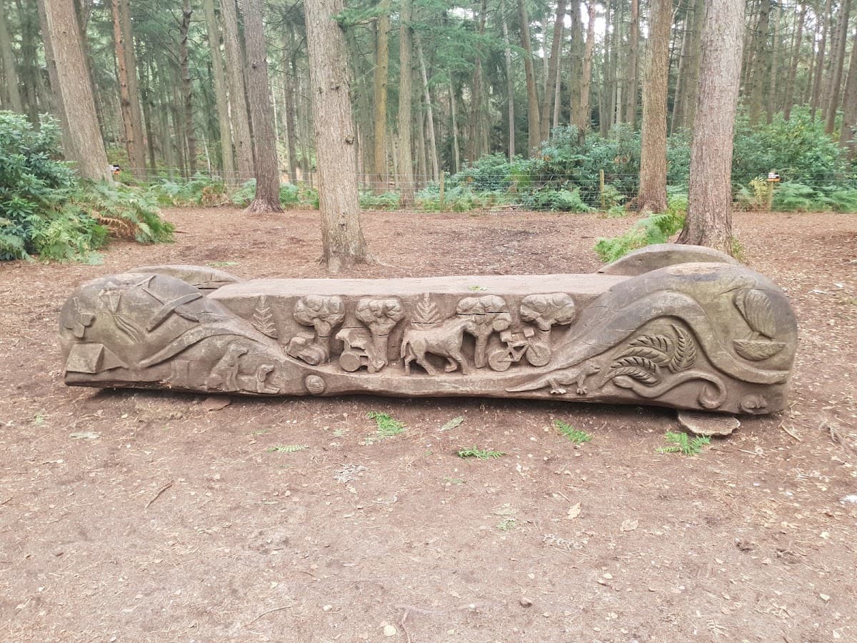 Rushmere Country Park - Image 4