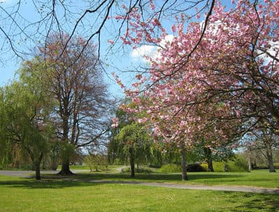 Rock Park - Image 2