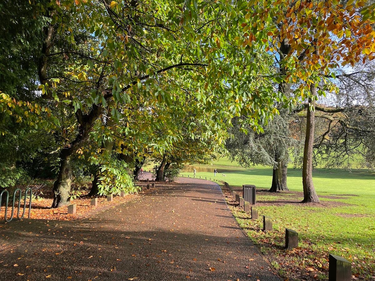 Warley Woods - Main view