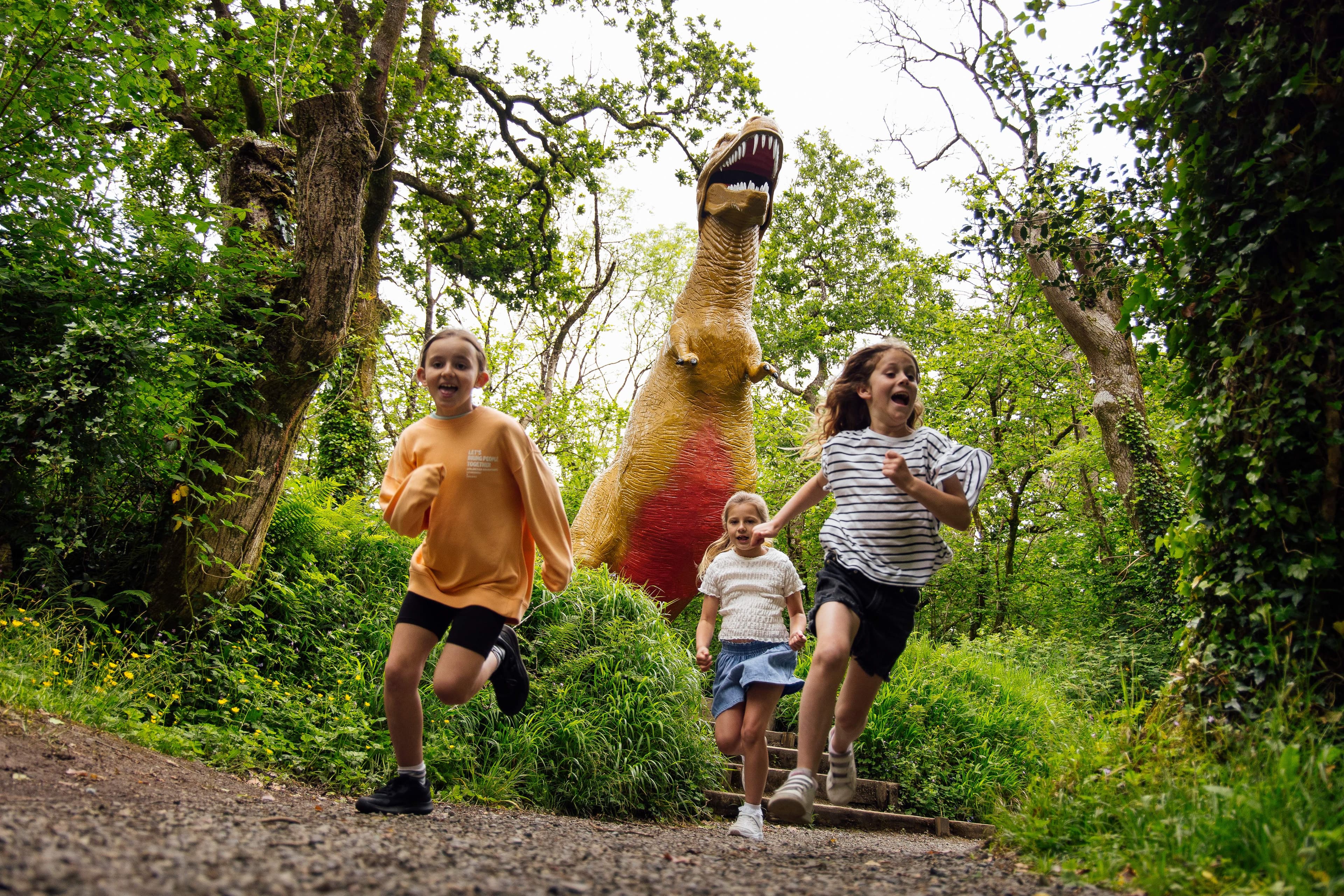 The Dinosaur Park Tenby - Main view