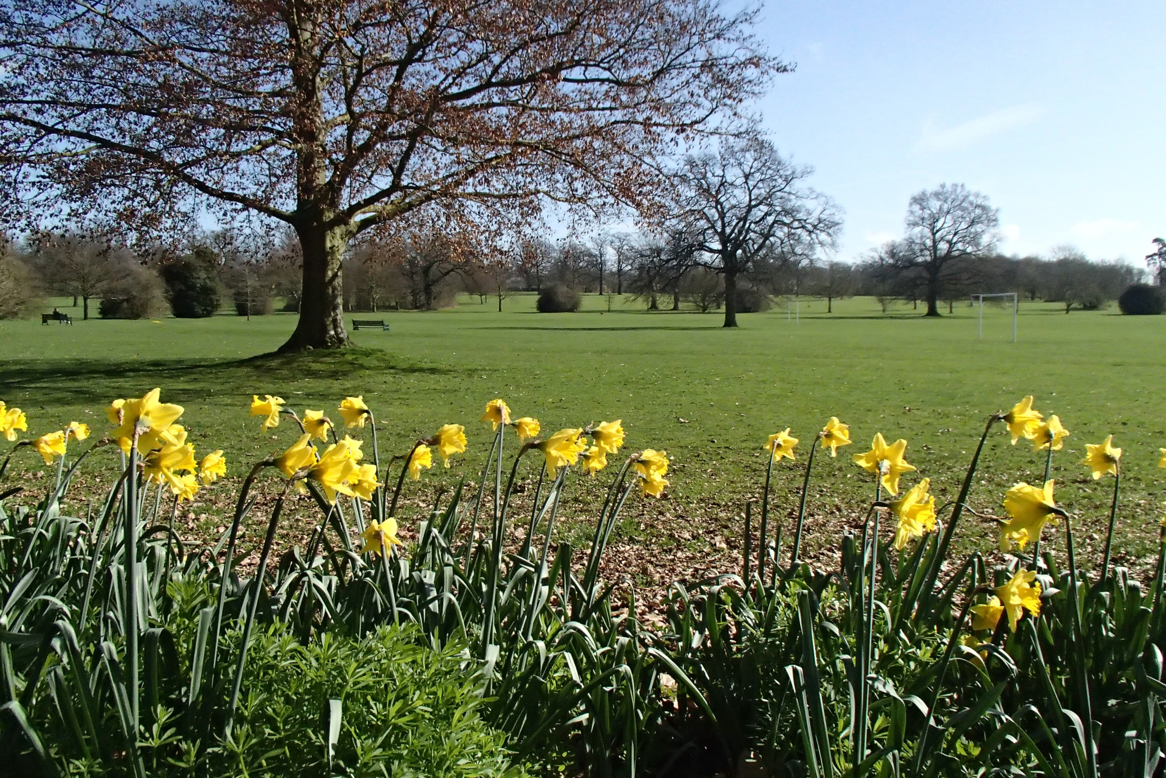 Priory Park - Image 2