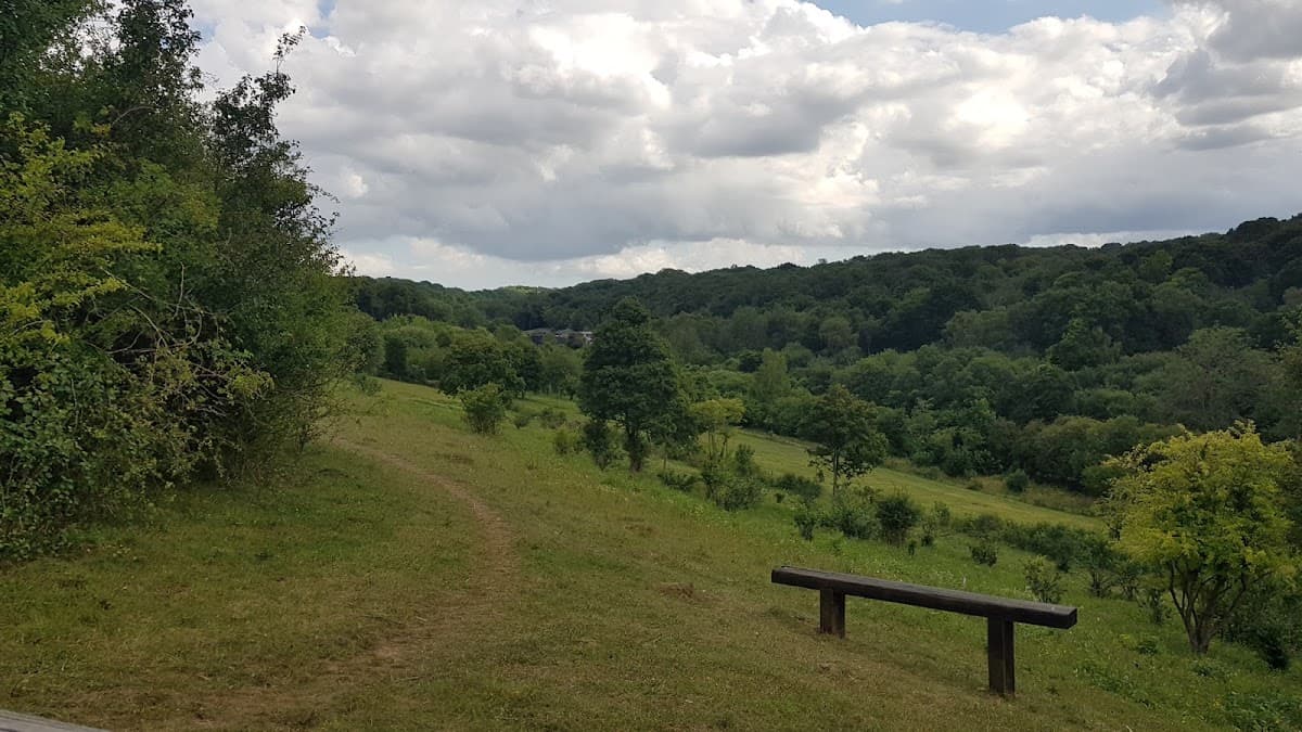 Hutchinson's Bank - London Wildlife Trust - Image 3