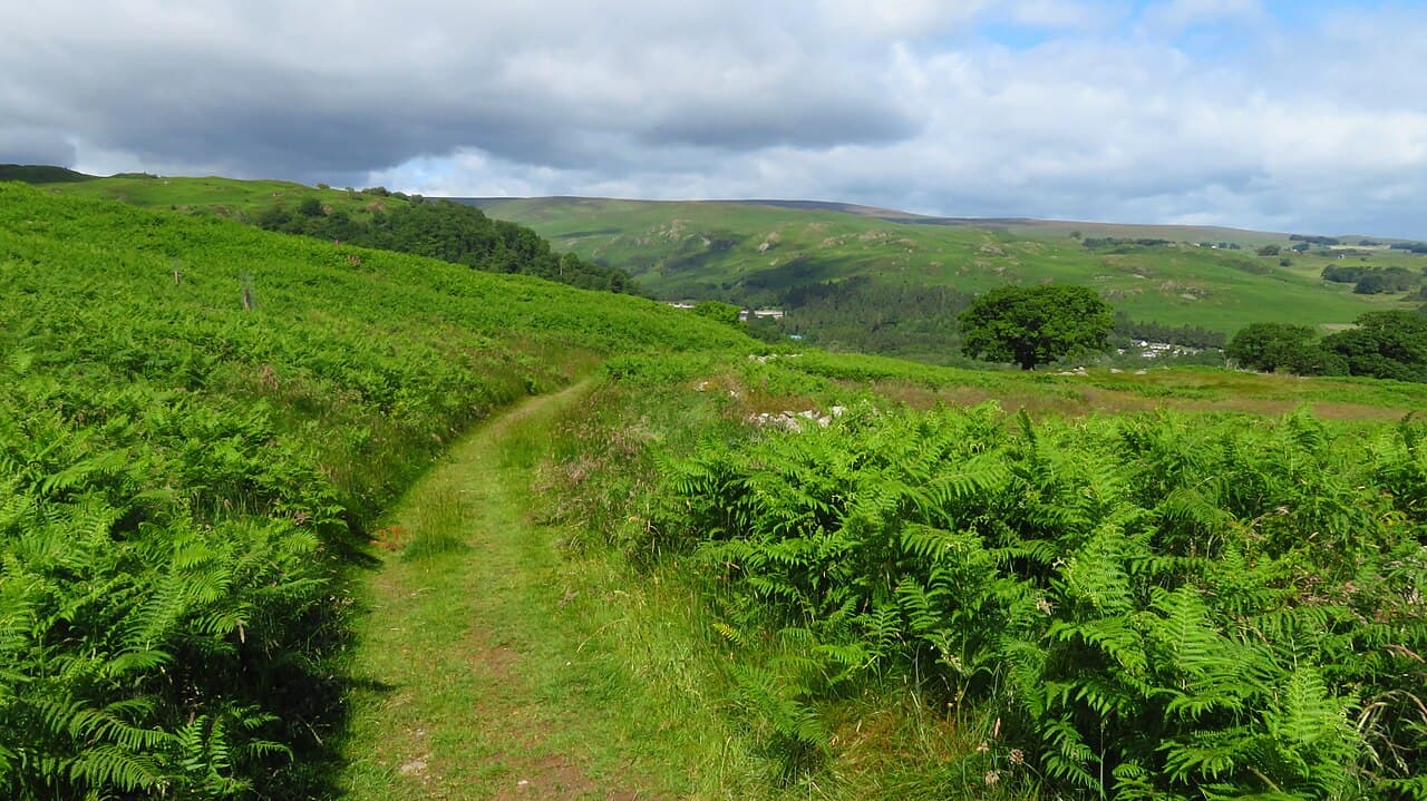 The RSPB at Wild Haweswater - Main view
