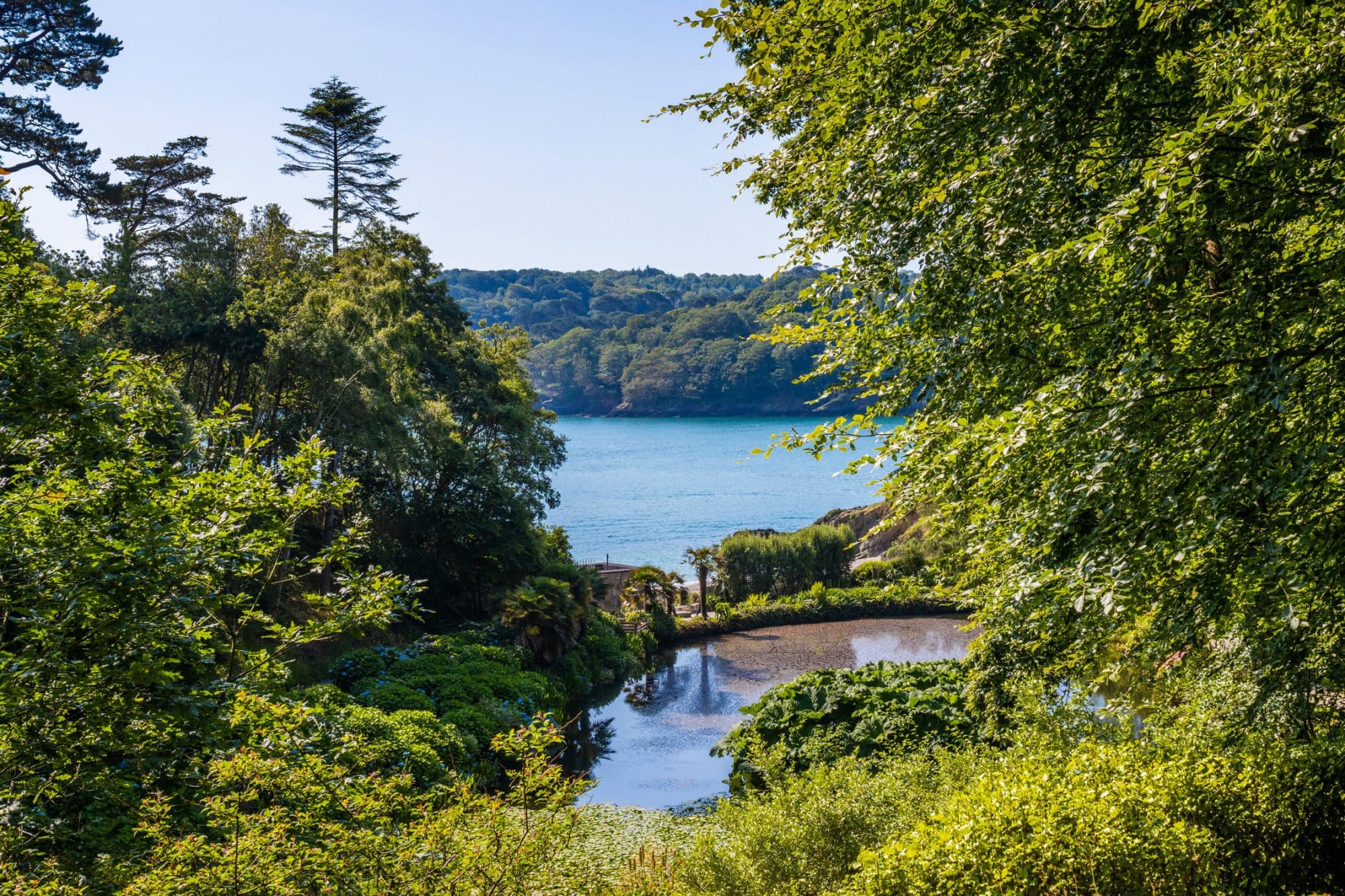 Trebah - Image 4