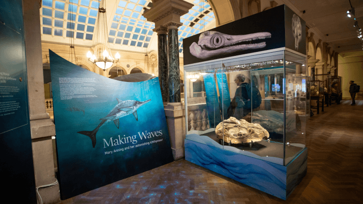 Bristol Museum & Art Gallery - Image 3