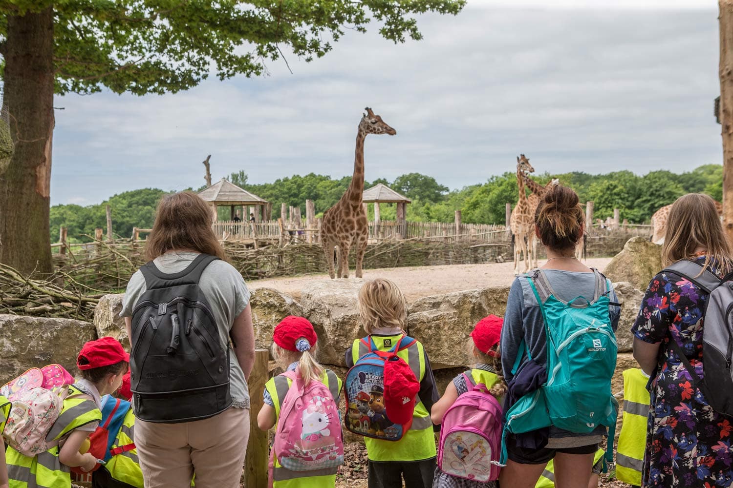 Marwell Zoo - Image 3