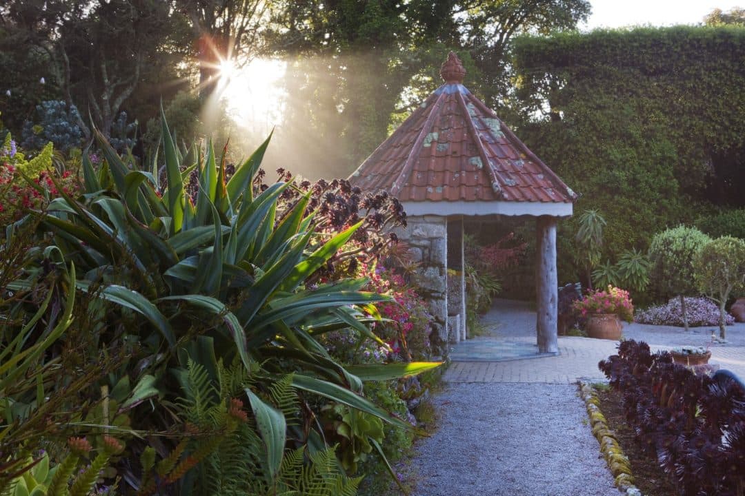 Tresco Abbey Garden, Shop & Café - Image 2