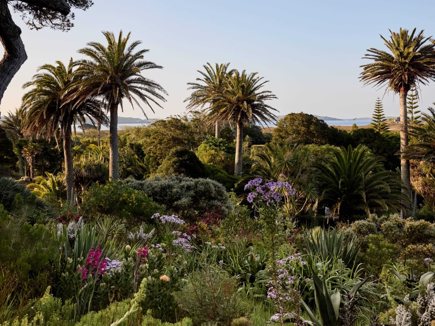 Tresco Abbey Garden, Shop & Café - Image 3