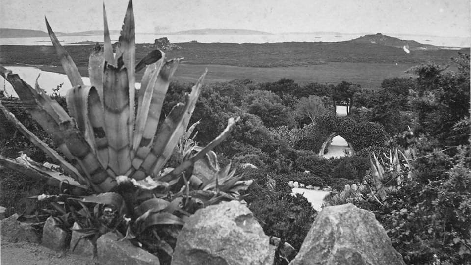 Tresco Abbey Garden, Shop & Café - Image 4