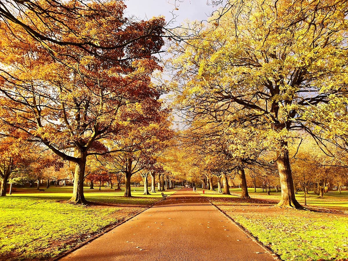 Victoria Park - Image 3