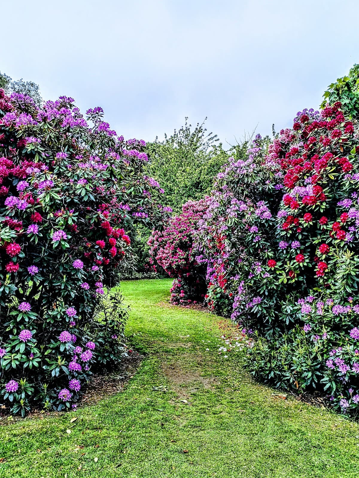 Victoria Park - Image 5