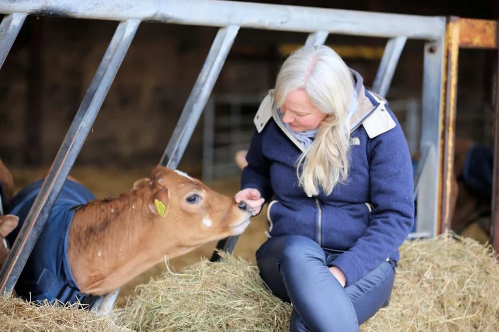 Goodheart Animal Sanctuaries - Image 2