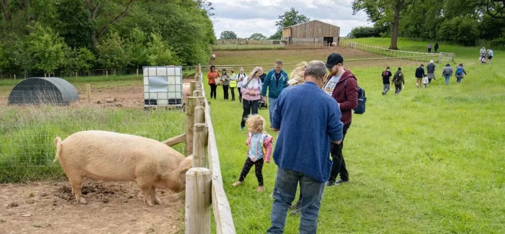 Goodheart Animal Sanctuaries - Image 4