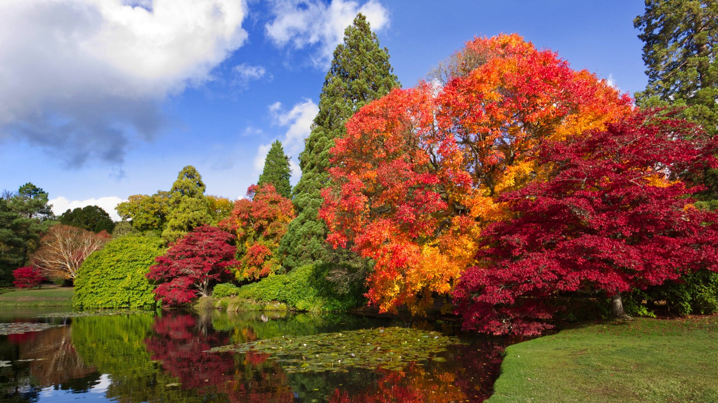 Sheffield Park - Image 2