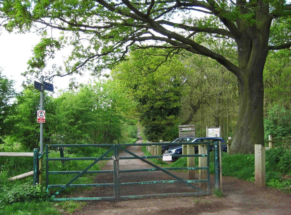 Burlish Top Nature Reserve - Image 1