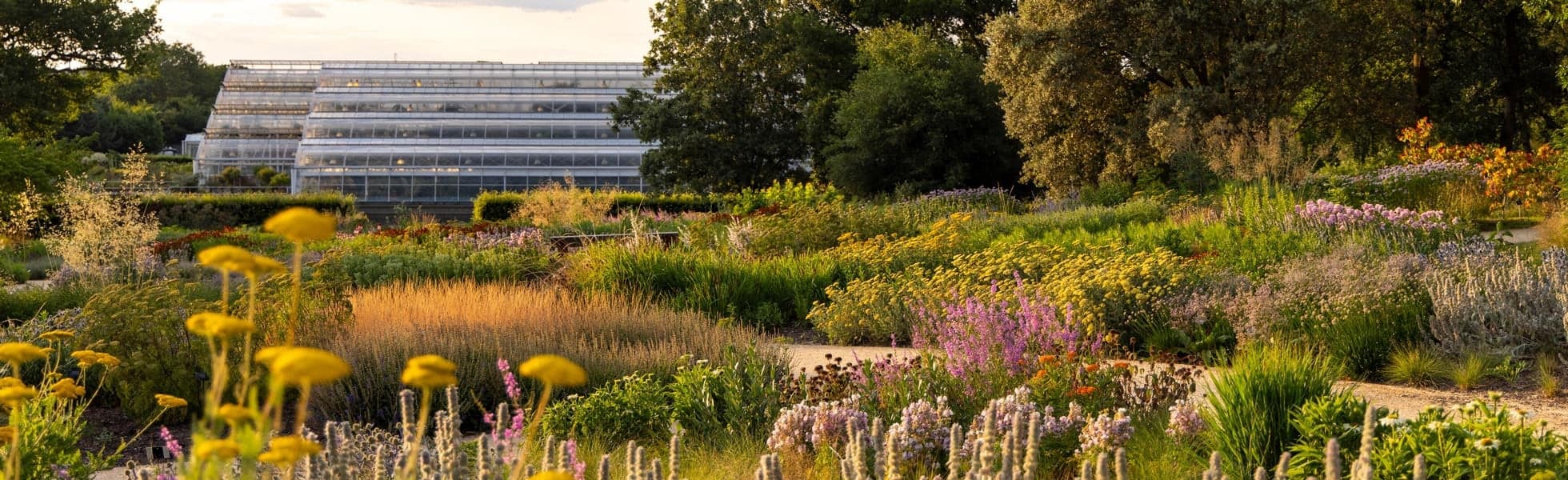 RHS Garden Wisley - Main view