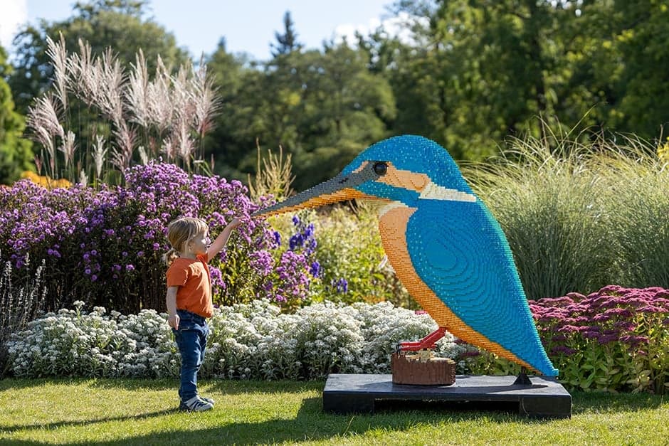 RHS Garden Wisley - Image 3