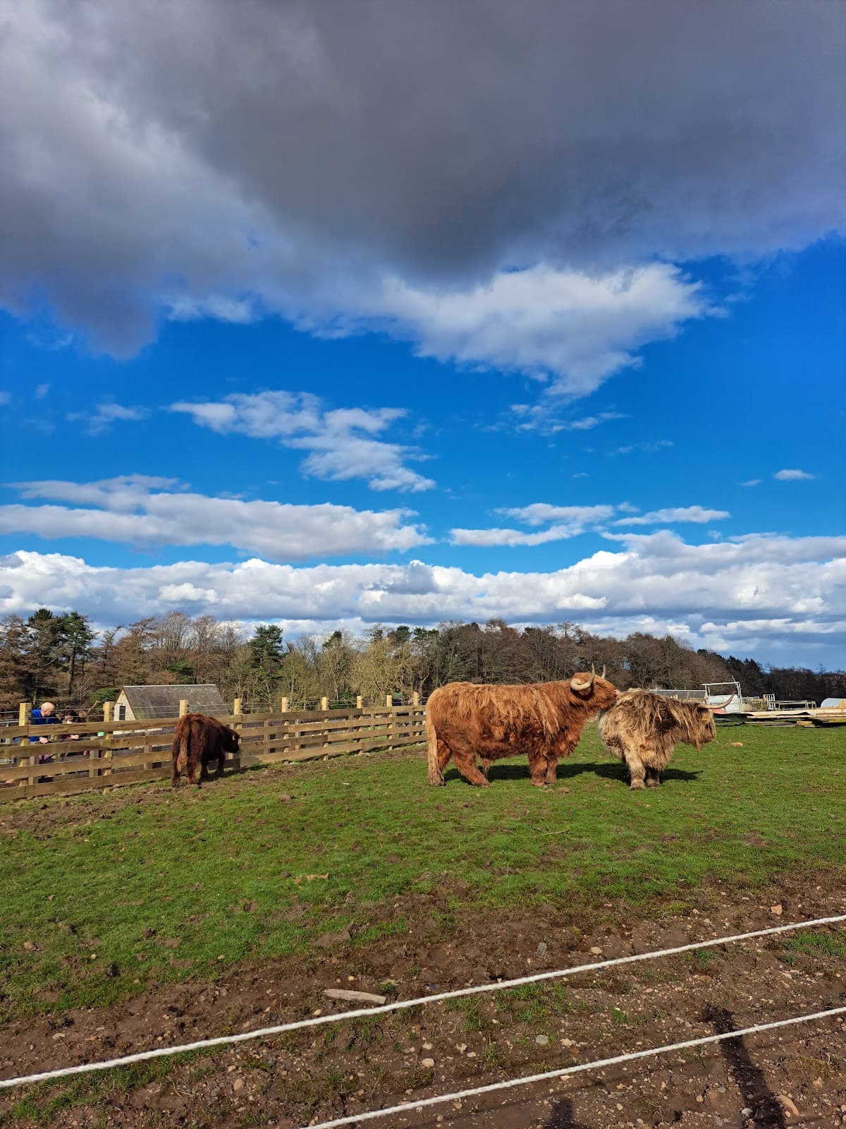 Newparks Farm - Image 2
