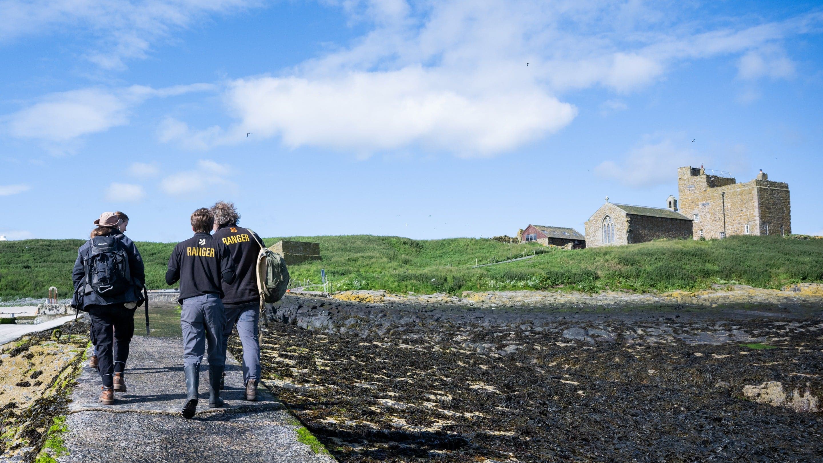 National Trust - Farne Islands - Image 3