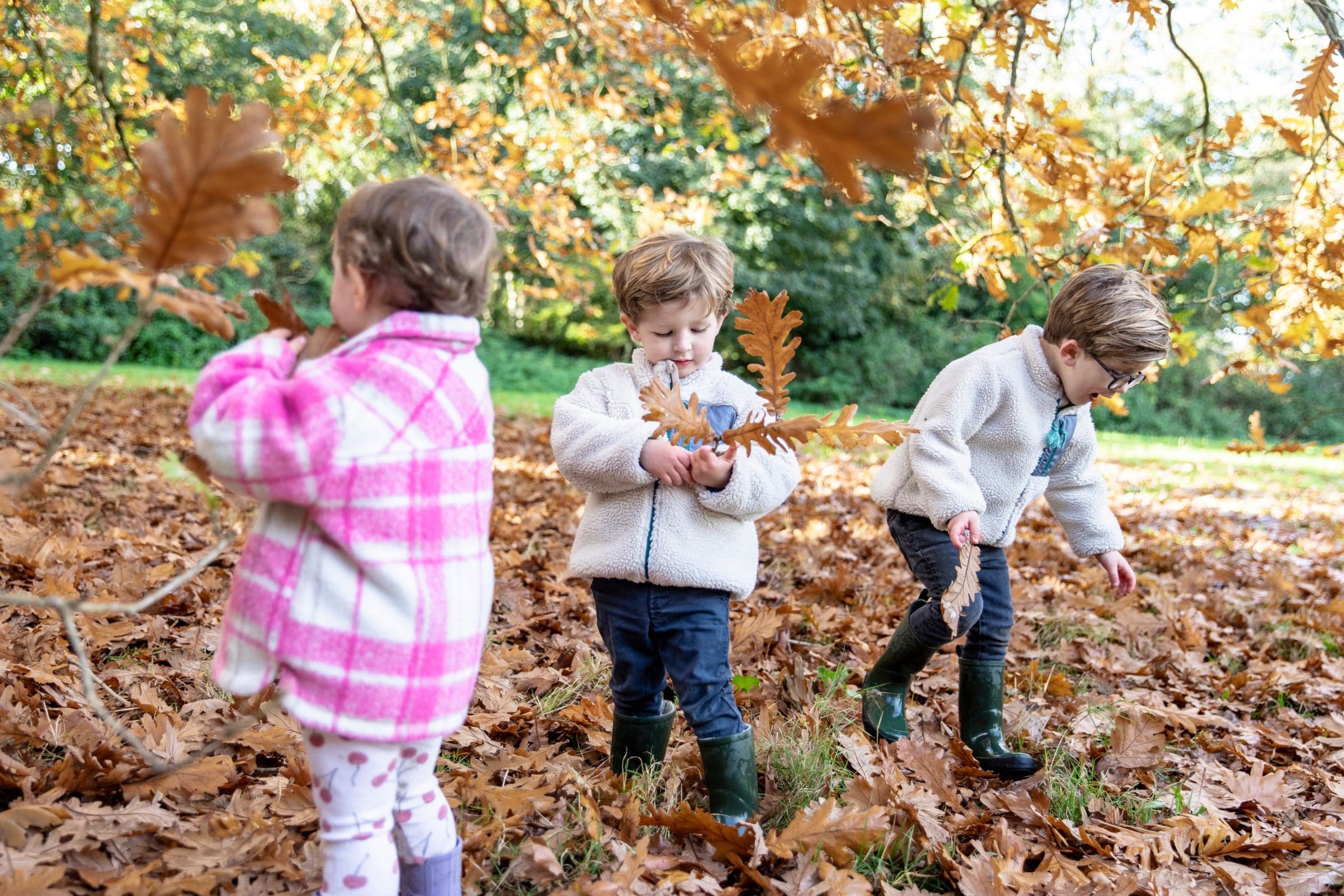 National Trust - Hughenden - Image 3