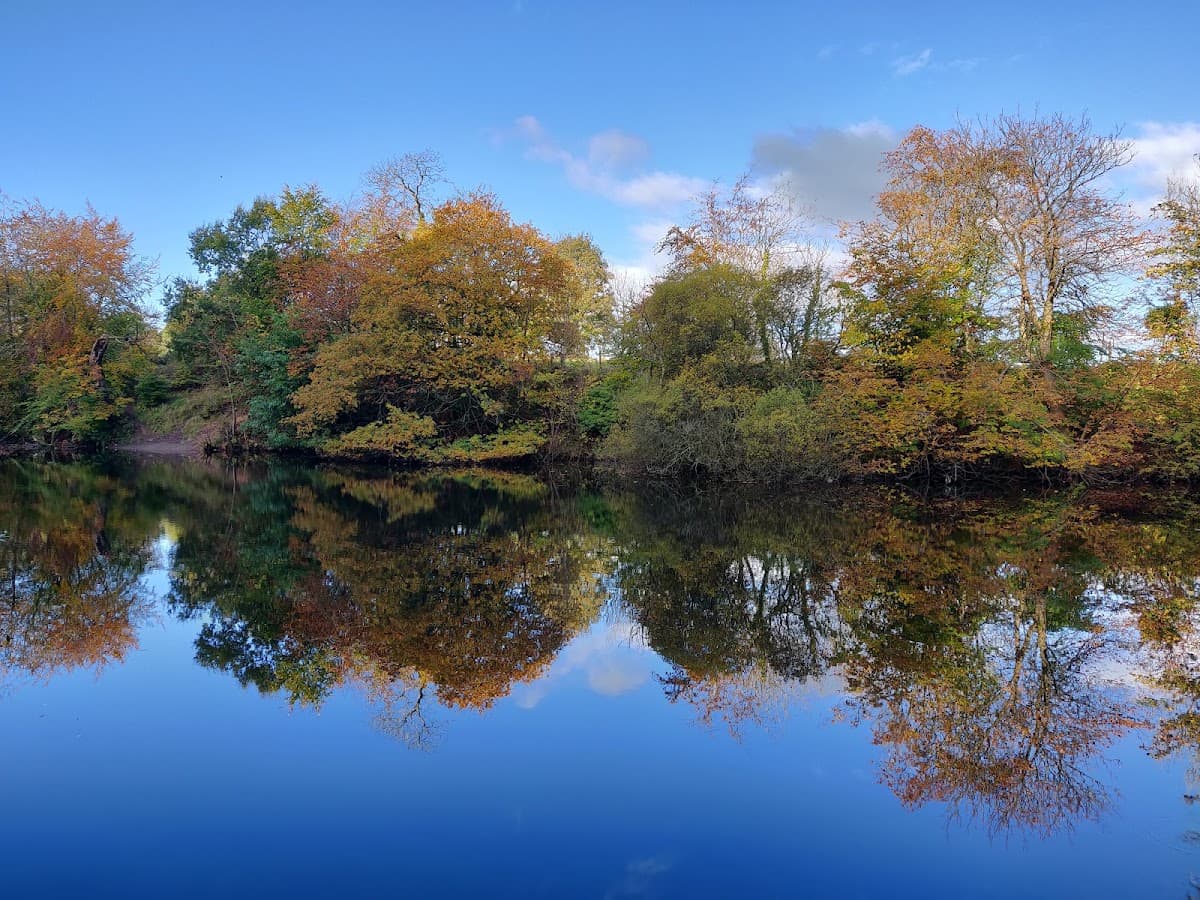 Gleniffer Braes Country Park - Main view