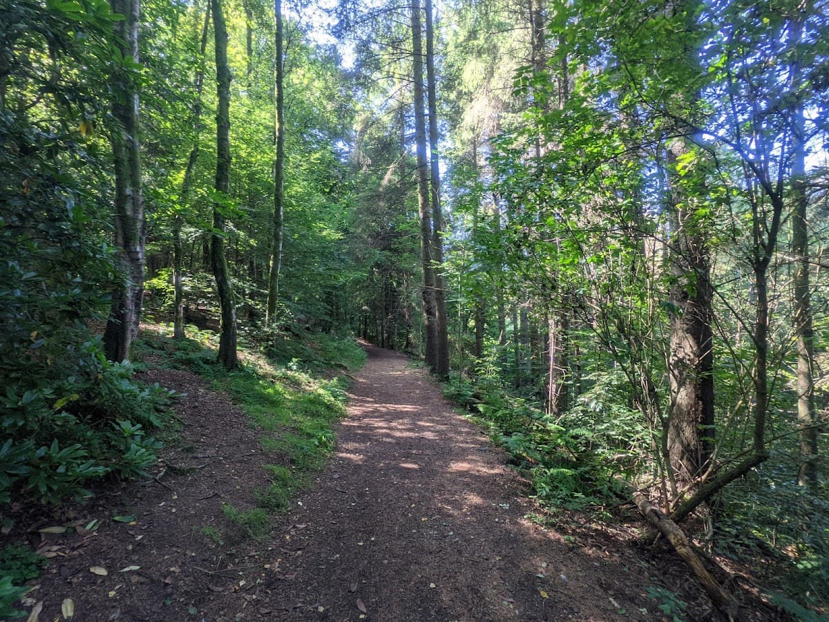 Gleniffer Braes Country Park - Image 3
